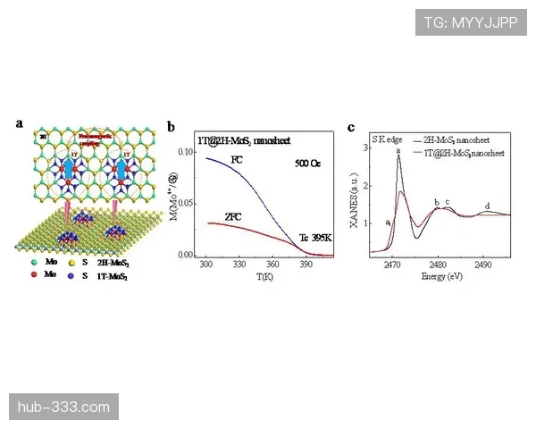 加维重伤回归的关键节点与竞技状态重建分析